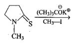 SN Reactions