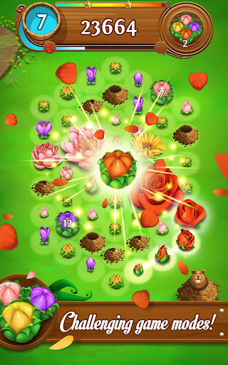 Blossom Blast Saga