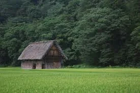 あの子の導く先