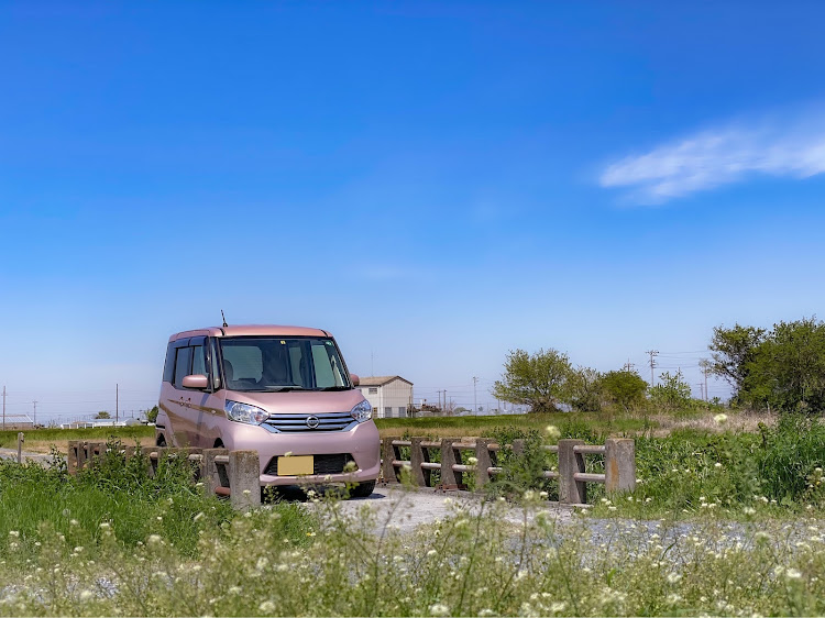 デイズルークスの花と愛車・りこふわ・ドライブ・羊山公園・秩父に関するカスタム事例の投稿画像1枚目
