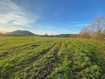 terrain à Corcieux (88)