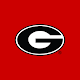 Georgia Bulldogs Gameday LIVE Download on Windows