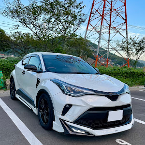 C-HR NGX10