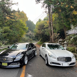 シーマ HGY51