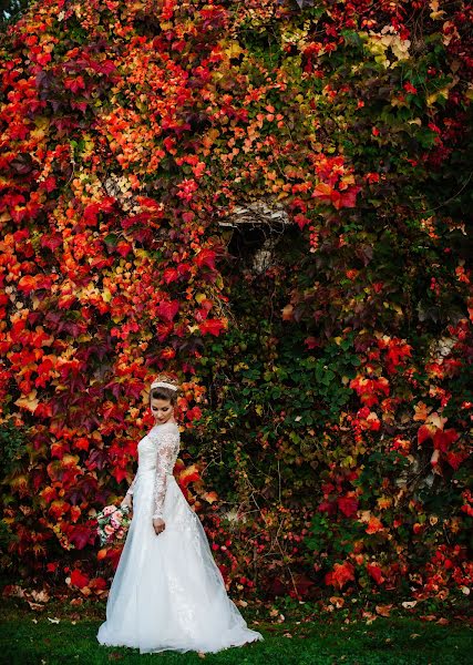 Wedding photographer Ahmed Chawki Lemnaouer (lemnaouer). Photo of 22 October 2017