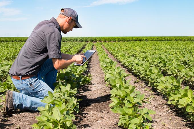 Importação de máquinas agrícolas