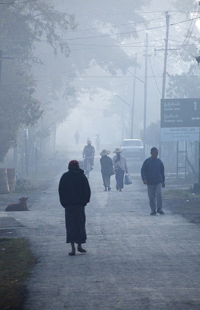 Avvolti nella nebbia... di bury