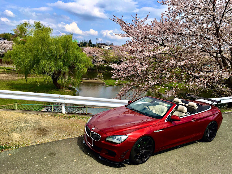 6シリーズ カブリオレのドライブ・桜とコラボ・オープンカーの日・葉桜に関するカスタム事例の投稿画像1枚目