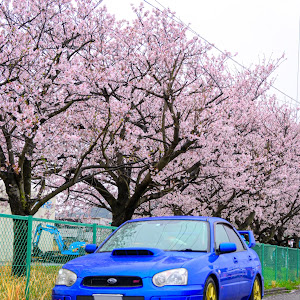 インプレッサ WRX STI GDB