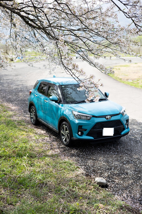 ライズの5月もよろしくお願いします・新緑と愛車・ドライブ・ライズ乗りと繋がりたいに関するカスタム事例の投稿画像6枚目