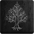 The Darkest Woods1.6.0