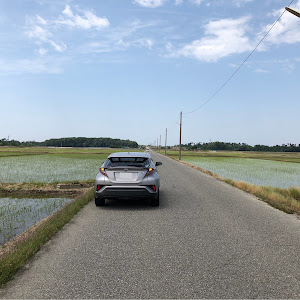 C-HR ZYX10