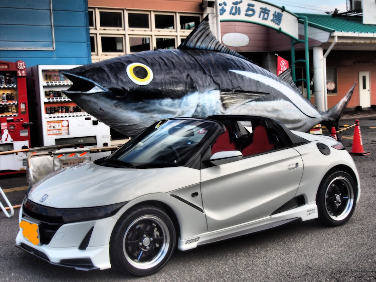 S660のteamカツオ・MT・ランチ・御前崎マリンパークに関するカスタム事例の投稿画像1枚目