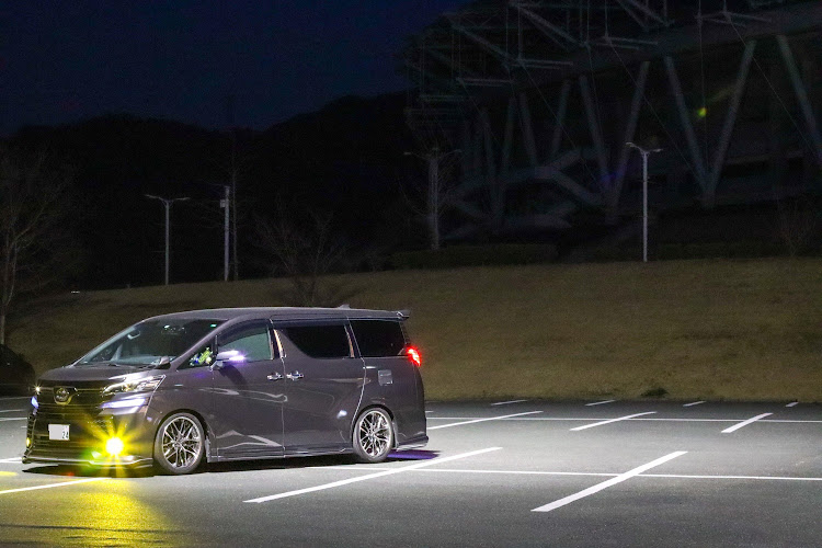 ヴェルファイアのdiscover_cartune・discover_ct・道草・花粉コーティング・パンさんコラボに関するカスタム事例の投稿画像2枚目