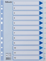 Register plast A4 ESSELTE 1-12 bl/hvit (Org.nr.100136)