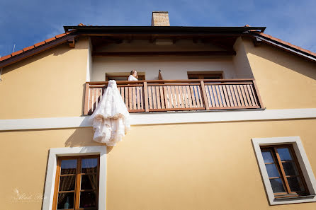 Fotografo di matrimoni Ludvík Danek (ludvik). Foto del 13 febbraio 2019