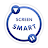 Screen Smart icon