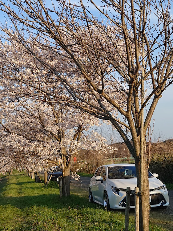 の投稿画像10枚目