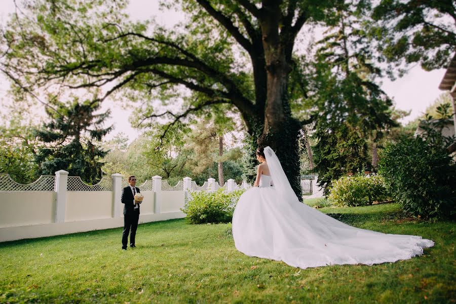 Fotógrafo de casamento Sergey Voskoboynikov (sergeyfaust). Foto de 13 de março 2017