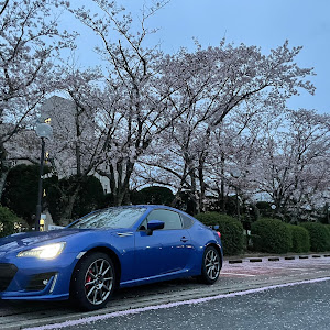 BRZ ZC6