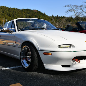 ロードスター NA8C