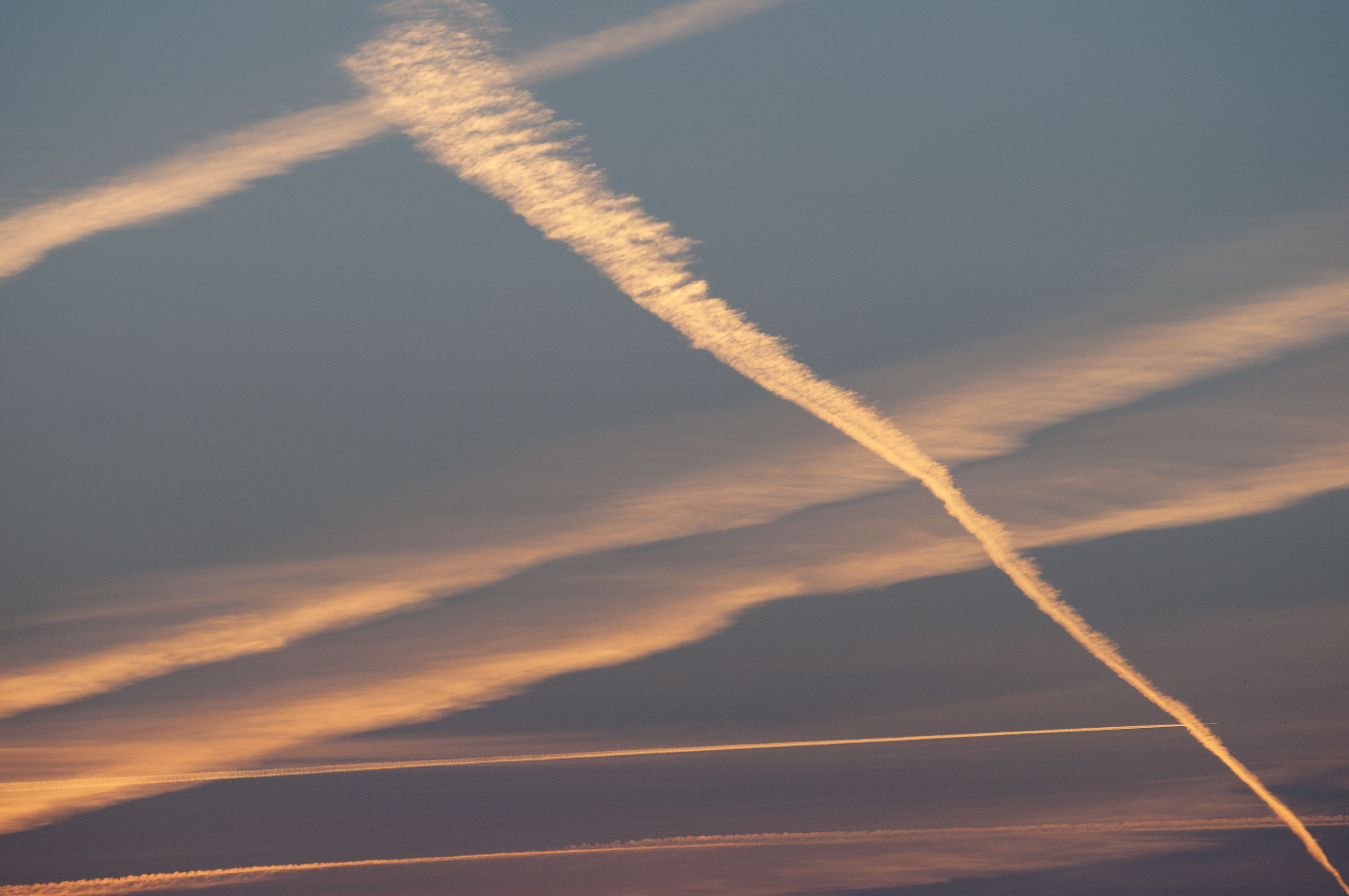 Scie chimiche  di AnnieMorgan