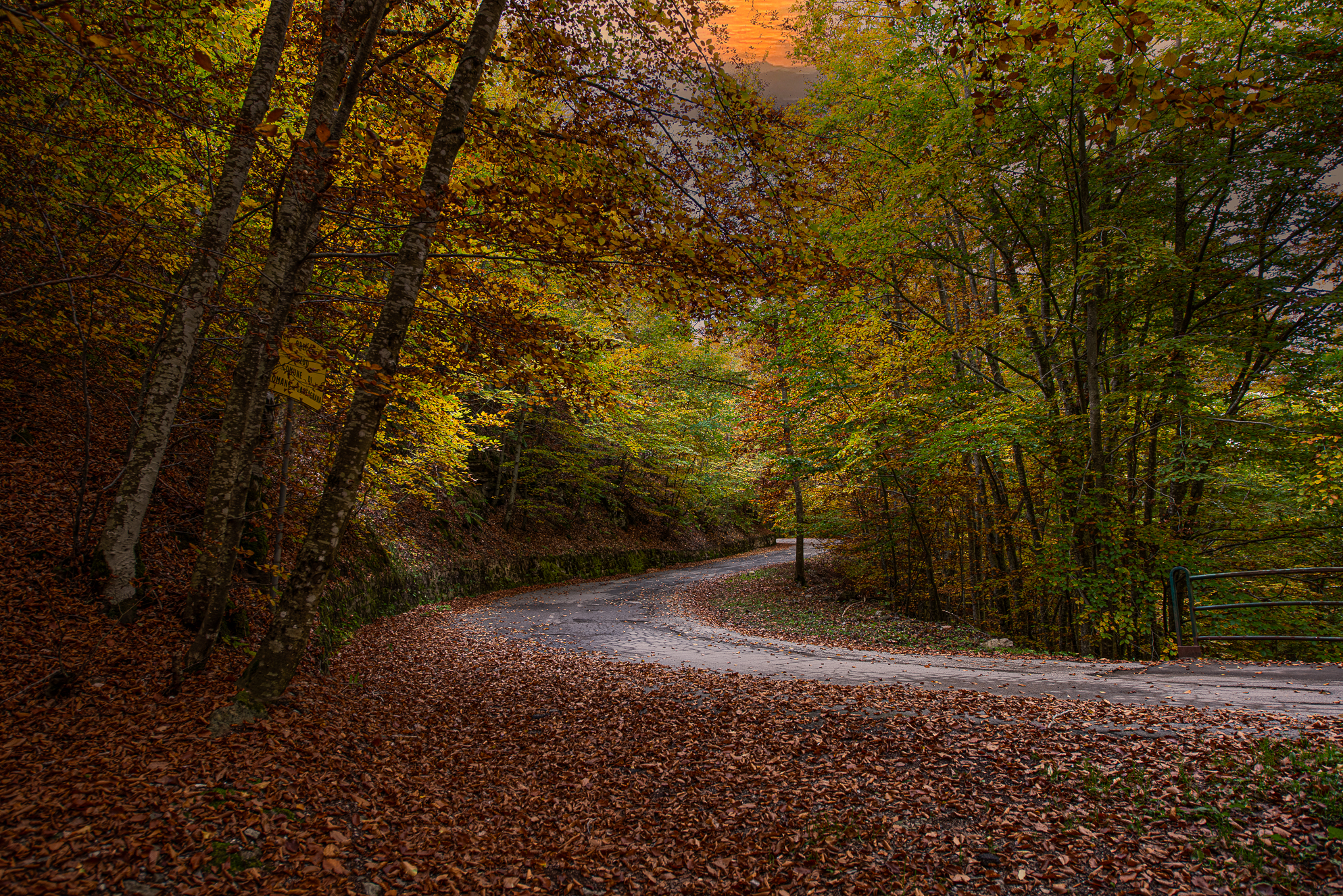 Trekking tra il foliage  di Fiore Doncovio