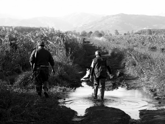 Caccia in campagna di bibou