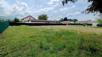 terrain à Saint-Jean-le-Vieux (01)