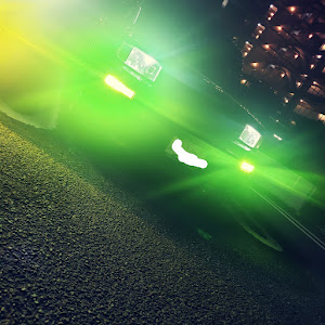 bB NCP31