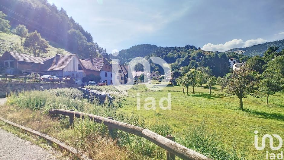 Vente terrain  1481 m² à Wasserbourg (68230), 107 000 €