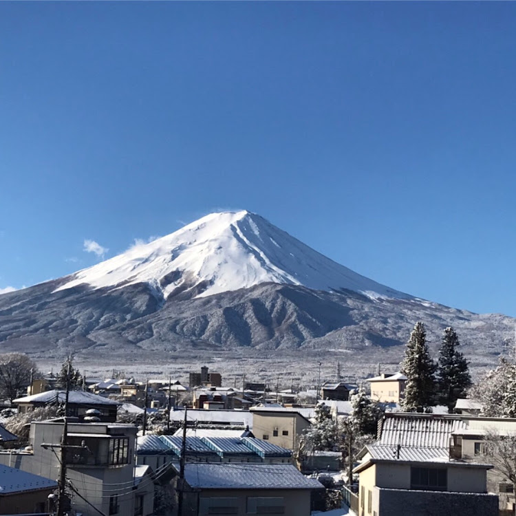 の投稿画像2枚目