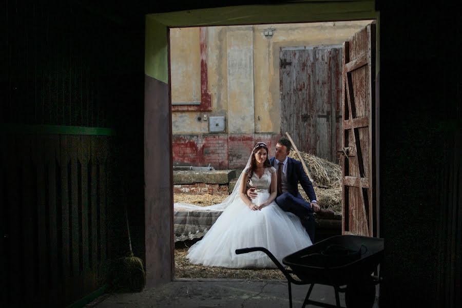 Fotógrafo de casamento Darko Ocokoljic (darkoni). Foto de 20 de março