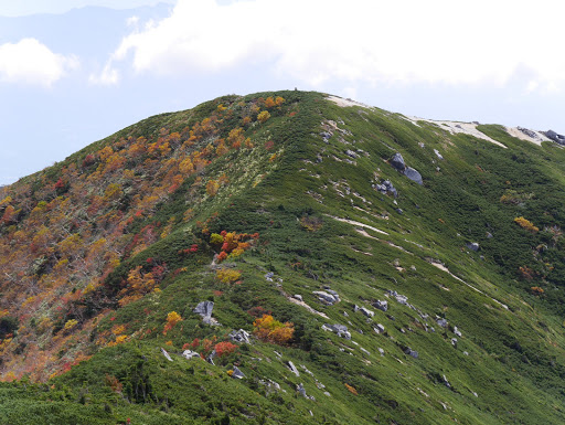 南越百山へ向う