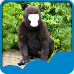 Animal Face Photo Editor Apk