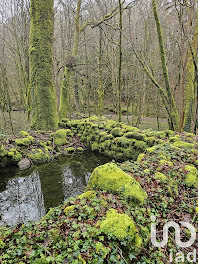 terrain à Pierre-Buffière (87)