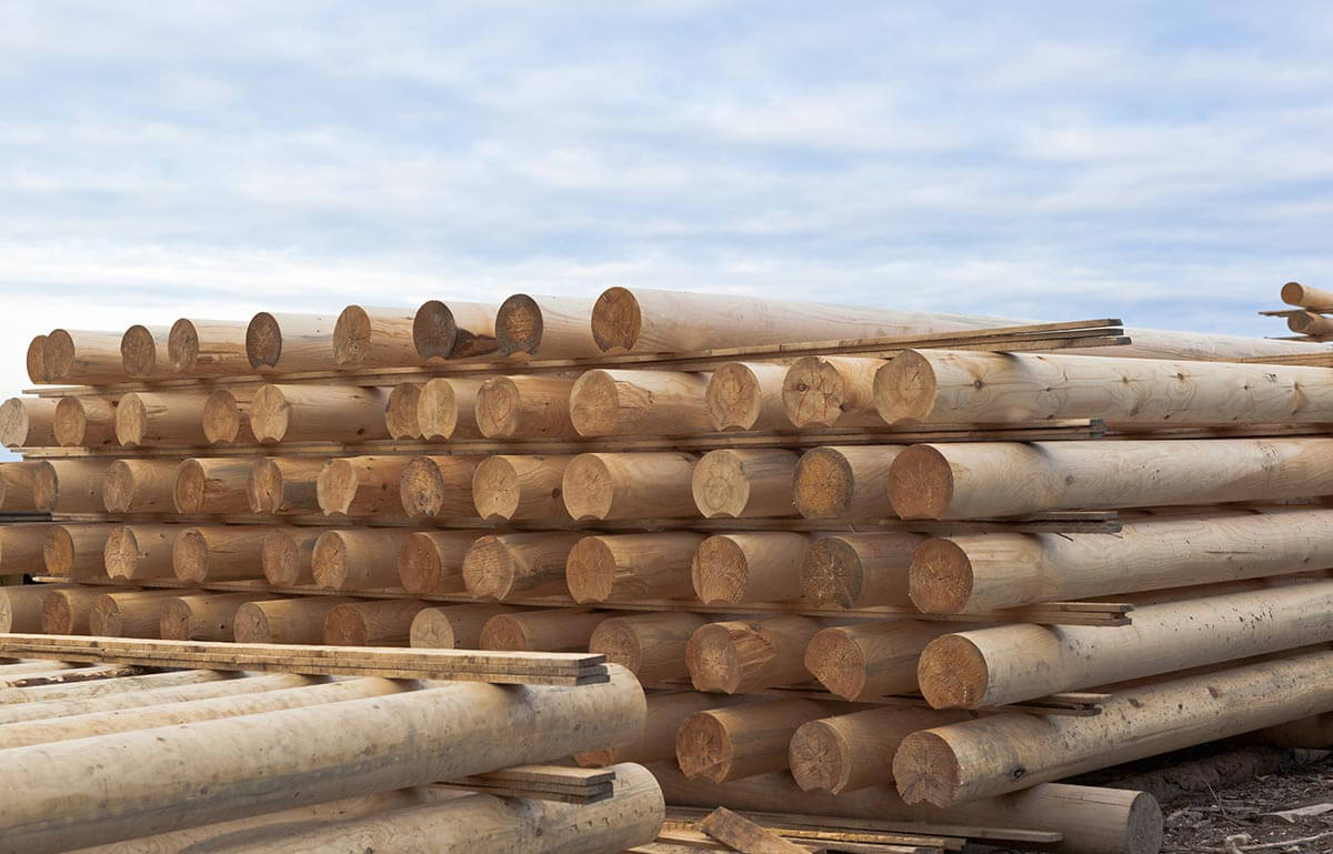 Wood Poles Companies - Timbeter