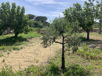 terrain à Saint-Quentin-la-Poterie (30)