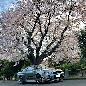 スカイライン GT-R BNR34