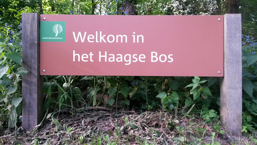 Het Haagse Bos