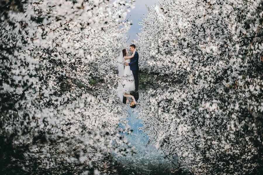 Photographe de mariage Maciek Januszewski (maciekjanuszews). Photo du 29 avril 2018