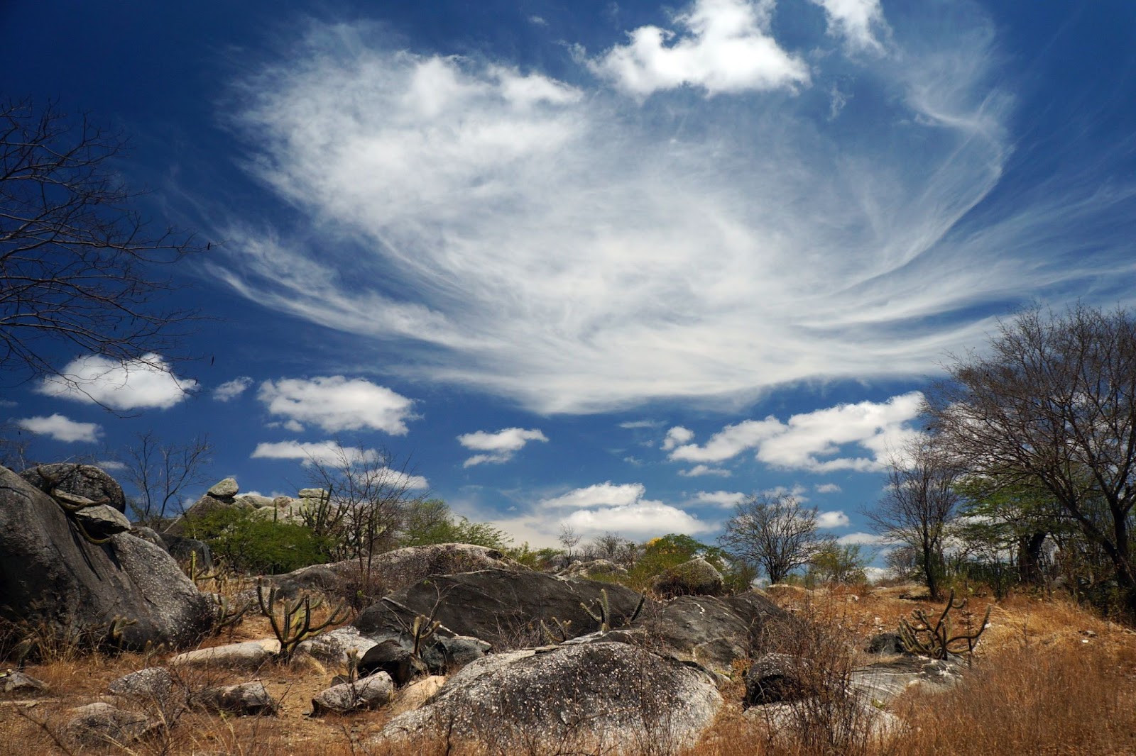 Paisagem de caatinga encontrada nos arredores da Pedra do Cachorro. A vegetação rasteira de tonalidade marrom divide o espaço com breves trechos verdes e com rochas arredondadas e cinzentas.