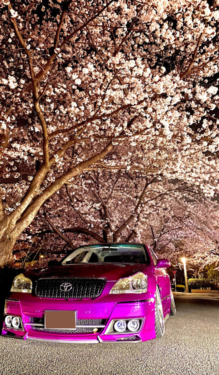 クラウンマジェスタの夜桜と愛車・目指せPickUpCars・セダン女子・桜とコラボ・桜と愛車に関するカスタム事例の投稿画像1枚目