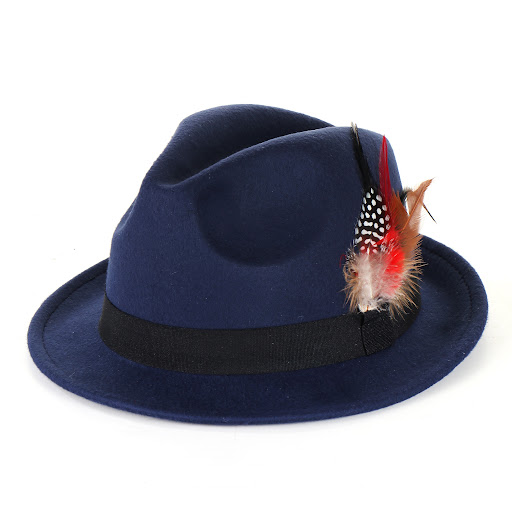Title 5, Fashion Mens And Womens Woolen Feather Hat
