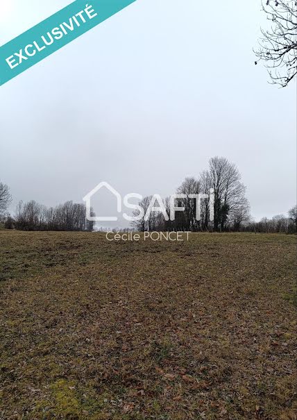 Vente terrain  1000 m² à Longcochon (39250), 42 000 €