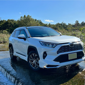 RAV4 MXAA54