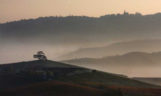 Langhe di LuckyDog