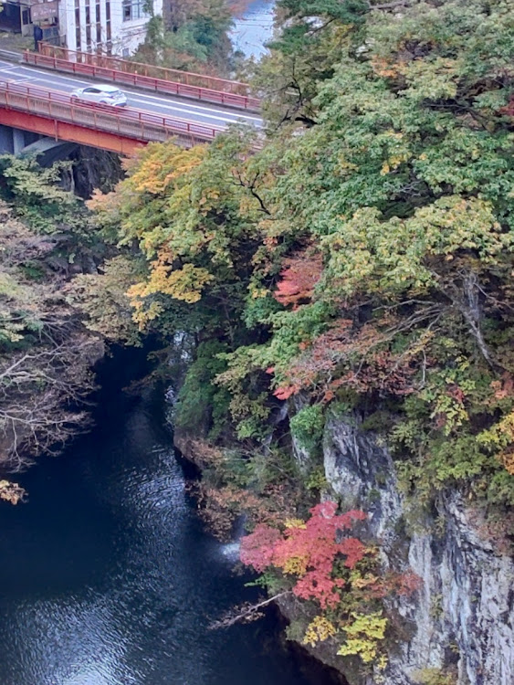 の投稿画像4枚目