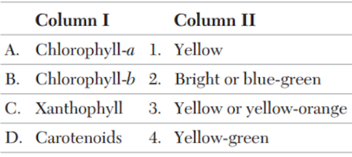 The chloroplast pigments