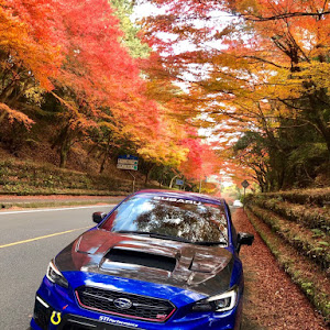 WRX STI